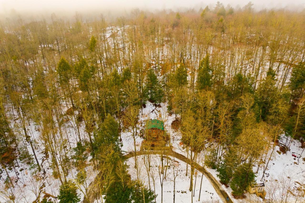 River Road Treehouse Retreat Warrensburg Dış mekan fotoğraf